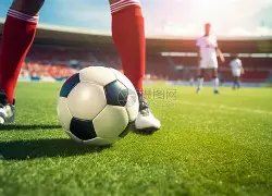 阿森纳冬窗,转会静悄悄,球星因卡皮,开宝体育官网,开宝体育平台,开宝体育链接,开宝体育官方