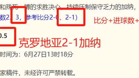 战绩盘点开宝体育平台：山猫对阵火花，19胜13负全面解析
